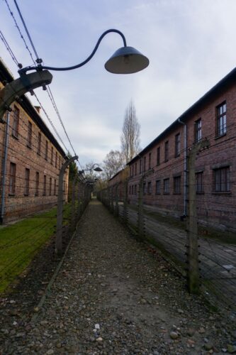 Memorial And Museum Auschwitz I, Between Barb Wire Fences