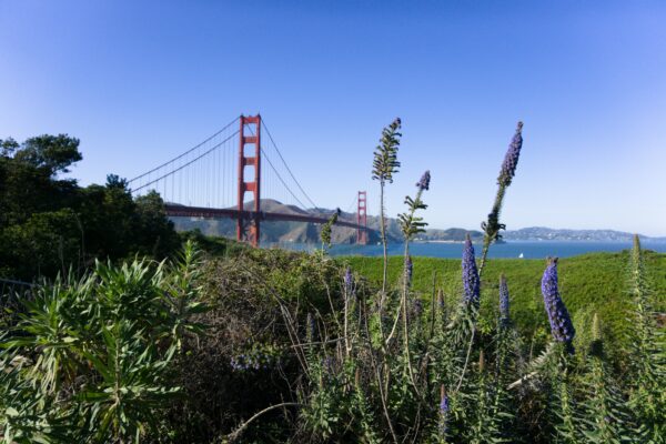 San Francisco, Golden Gate Bridge