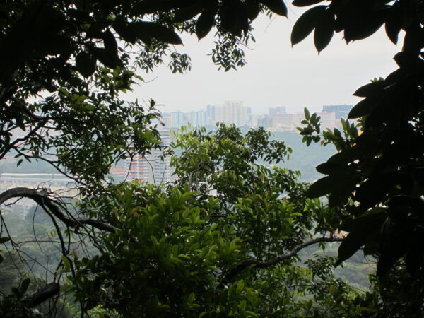 View To Singapore Skyline From Park