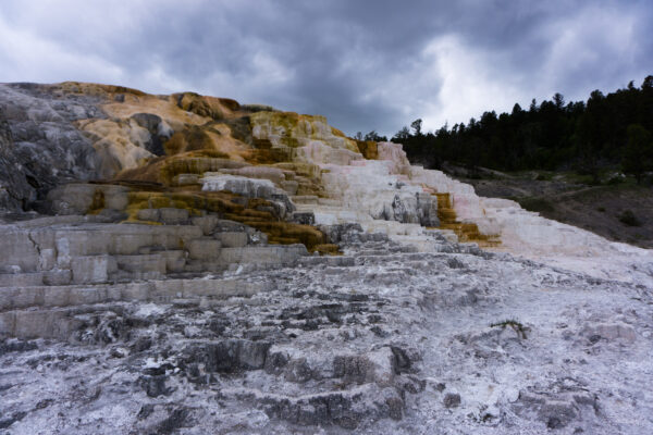 Yellowstone National Park, Palette Springs At Mammoth Hot Springs